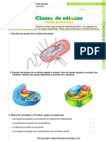 03 Clases de Celulas - Procariotas-Eucariotas