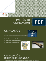 Patrón de Osificación