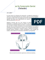 Sistema de Numeracion Dental - Odontologia