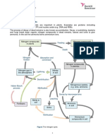 Nitrogen Cycle