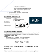 Algebra Terminos Semejantes