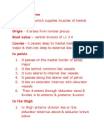 Obturator Nerve