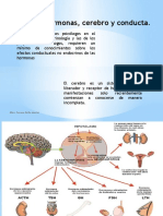 Fundamentos Biologicos de La Conducta