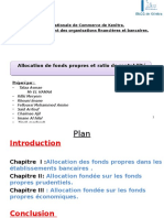 Allocation Des Fonds Propres Et Ratio de Rentabilité Final