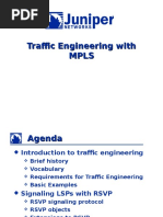 CCIE Traffic Engineering With MPLS-Juniper