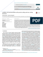 Seminars in Cell & Developmental Biology: Pooja Kumari, Karuna Sampath