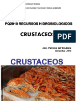 Crustaceos