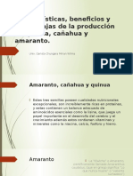 Características, Beneficios y Desventajas de La Producción