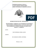 Informe de Practicas Pre Profesionales (Supo Rodriguez, Romel Clever) PDF