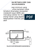 Kecepatan Metabolisme Dan Pengukurannya