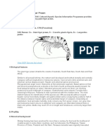 How To Farm Giant Tiger Prawn