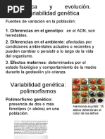 Variabilidad Genetica