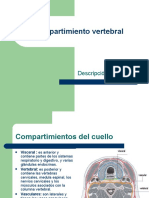 Compartimiento Vertebral