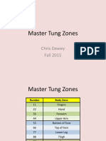 Master Tung Zones