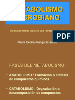 Metabolismo1 2