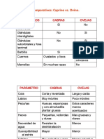 Diferencias Ovinos Caprinos