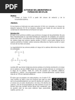 Actividad de Laboratorio 3 Nylon