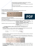 TEMA 37 Biogenesis Glucógeno