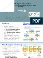 Class 14. Signal Transduction: A Cascade of Events Within A Cell Translates Signals Into Cellular Responses