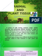 Plant & Animal Tissue 