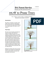 HOW To Prune Trees: USDA Forest Service