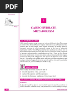 Carbohydrate Metabolism: Notes