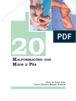 Capitulo20 PDF