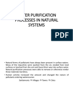 Water Purification in Natural Systems