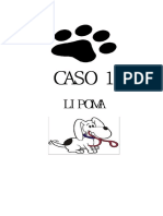 Parvovirosis Canina