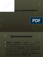 Fotosíntesis y Quimiosíntesis