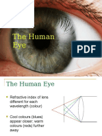 CSEC BIOLOGY Nervous Coordination - Eye