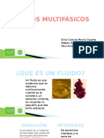 Fluidos Multifasicos 