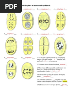 Meiosis Pictures Worksheet Answers XNPXWB