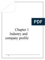 Industry and Company Profile