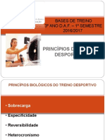 BT - Princípios de Treino