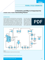 Lesson 1 What Plant Cycle Chemistry and Why Is It Important PDF