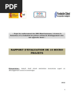 Rapport Evaluation CIDEAL VF