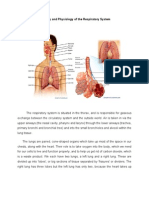 Anatomy and Physiology of The Respiratory System