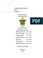 Laporan Lengkap Uji Pendahuluan Fitokimia