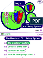 KS4 The Heart and Circulatory System