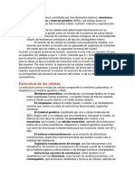 La Célula Es Una Estructura Constituida Por Tres Elementos Básicos