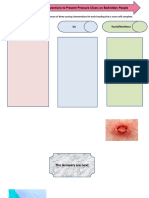 Pressure Ulcer Concept Map