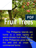 Fruit Bearing Trees