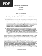 Riassunti Lezioni Di Diritto Processuale Civile Su Il Processo Civile Manuale Picardi