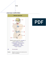 Biología Ejes Temáticos