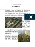 Summary of The Liquefaction Site 1998