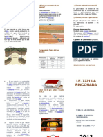 Triptico Del Gas Natural