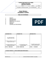 Fichas Tecnicas Calderas e Vapor PDF