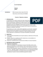 Informe de Pigmentos Fisio