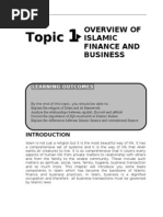 Overview of Islamic Finance and Business